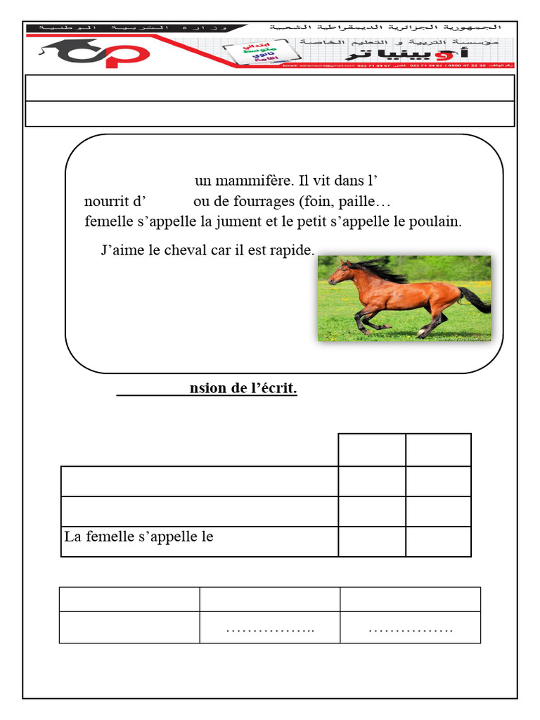 Examen Francais 2AP T2 | PDF