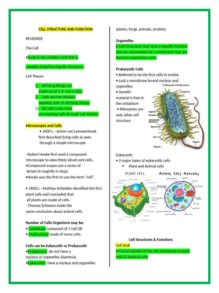 Cell Structure and Function | PDF | Cell (Biology) | Endoplasmic Reticulum