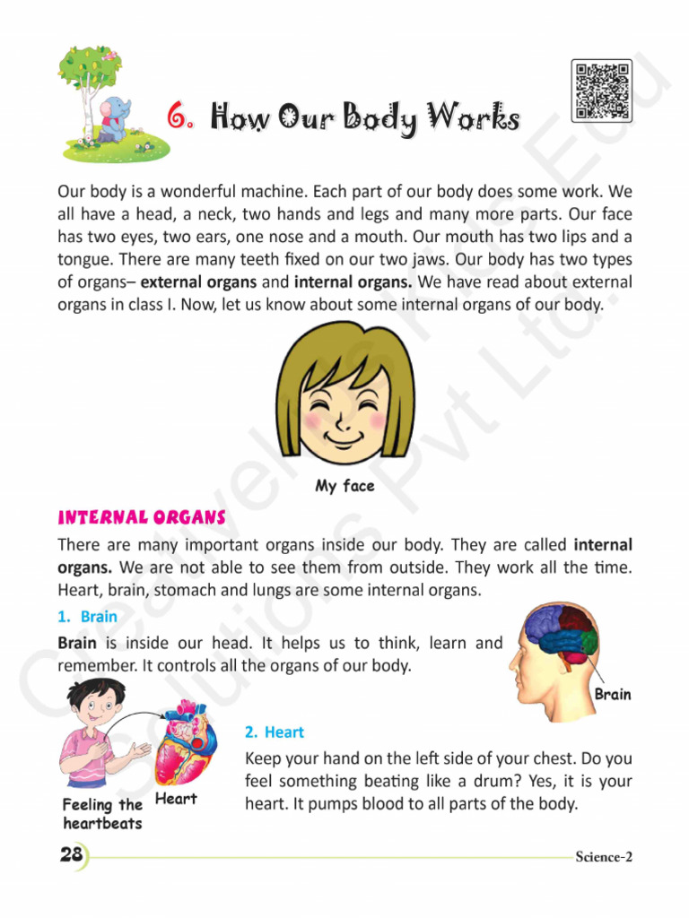 Science CH6 | PDF