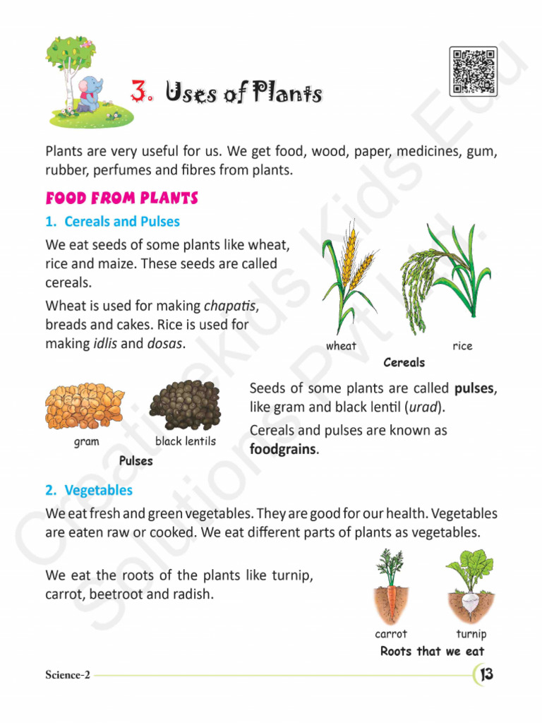 Science CH3 | PDF