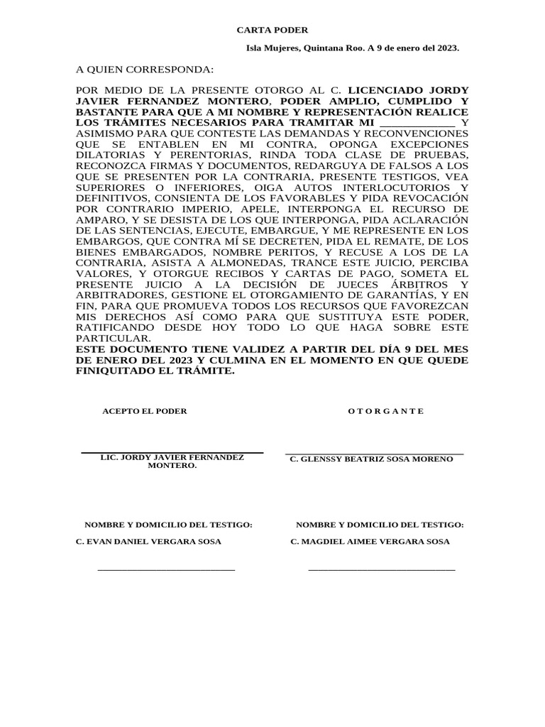 Carta Poder | PDF