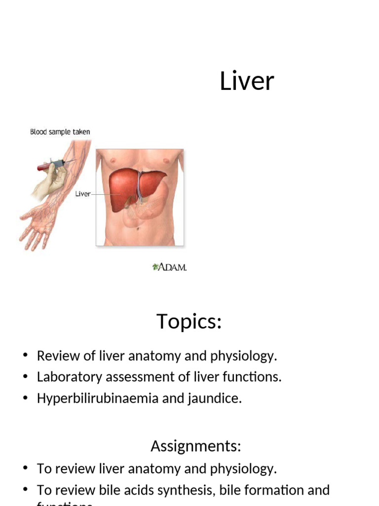 05a - Liver Function Assessment New | PDF