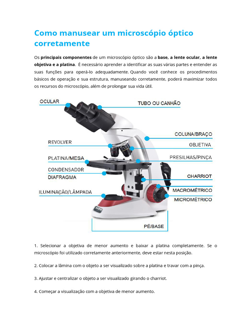 Como Manusear Um Microscópio Corretamente Pdf