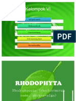 Rhodophytaa Fix