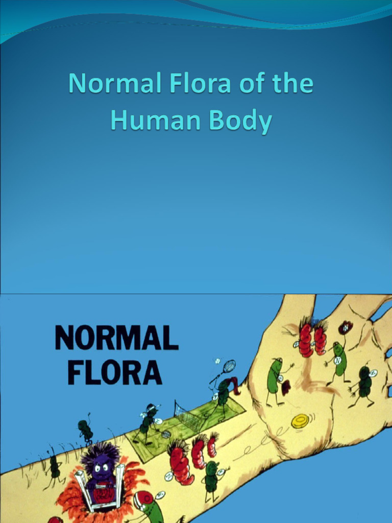 Normal Flora of The Human Body | PDF