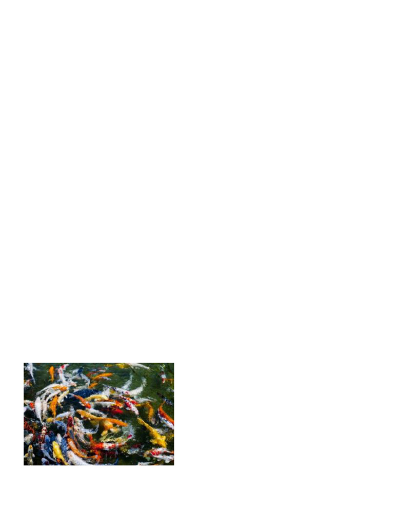 Cara Membuat Kolam Koi | PDF