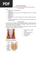 Incisión de Pfannenstiel: Técnica y Aplicaciones | PDF | Pelvis | Vagina