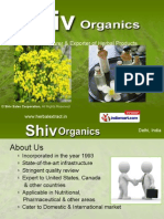 Shiv Sales Corporation Delhi India