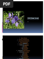 Download IRIDACEAE Y ORCHIDACEAE by Rommel Rodriguez SN77990430 doc pdf
