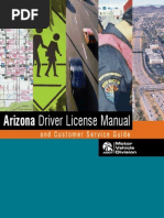 Download Driving Lessons by Flvia Renata Eyler SN77990953 doc pdf