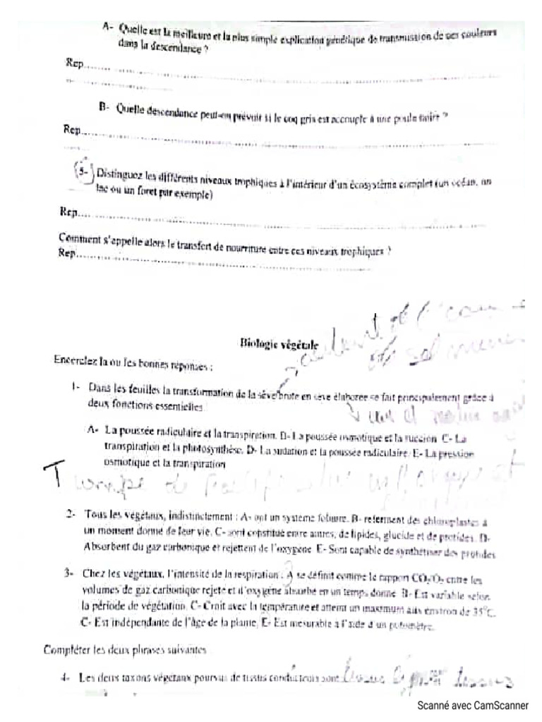 Tchala FMP | PDF