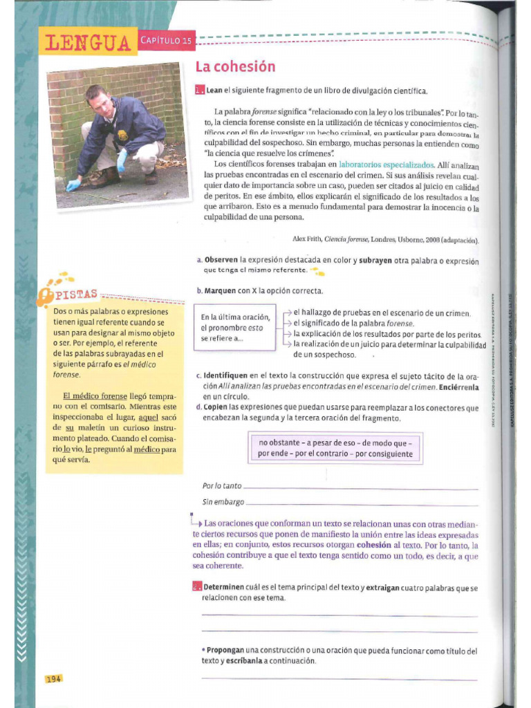 COHESION | PDF
