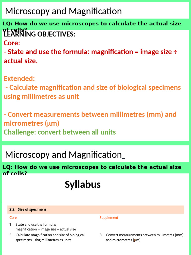 L2 Magnification | PDF