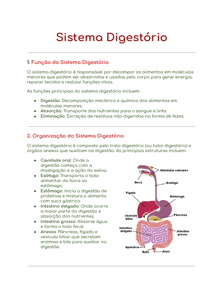 Sistema Digestório | PDF