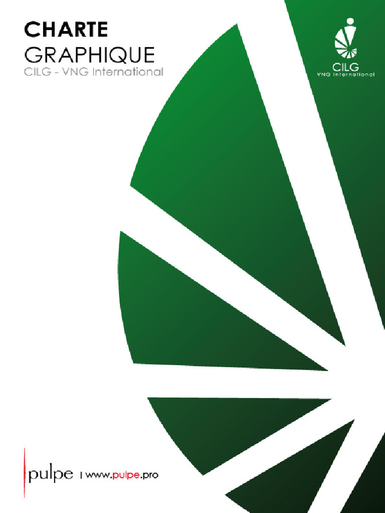 Charte CILG VNG International | PDF