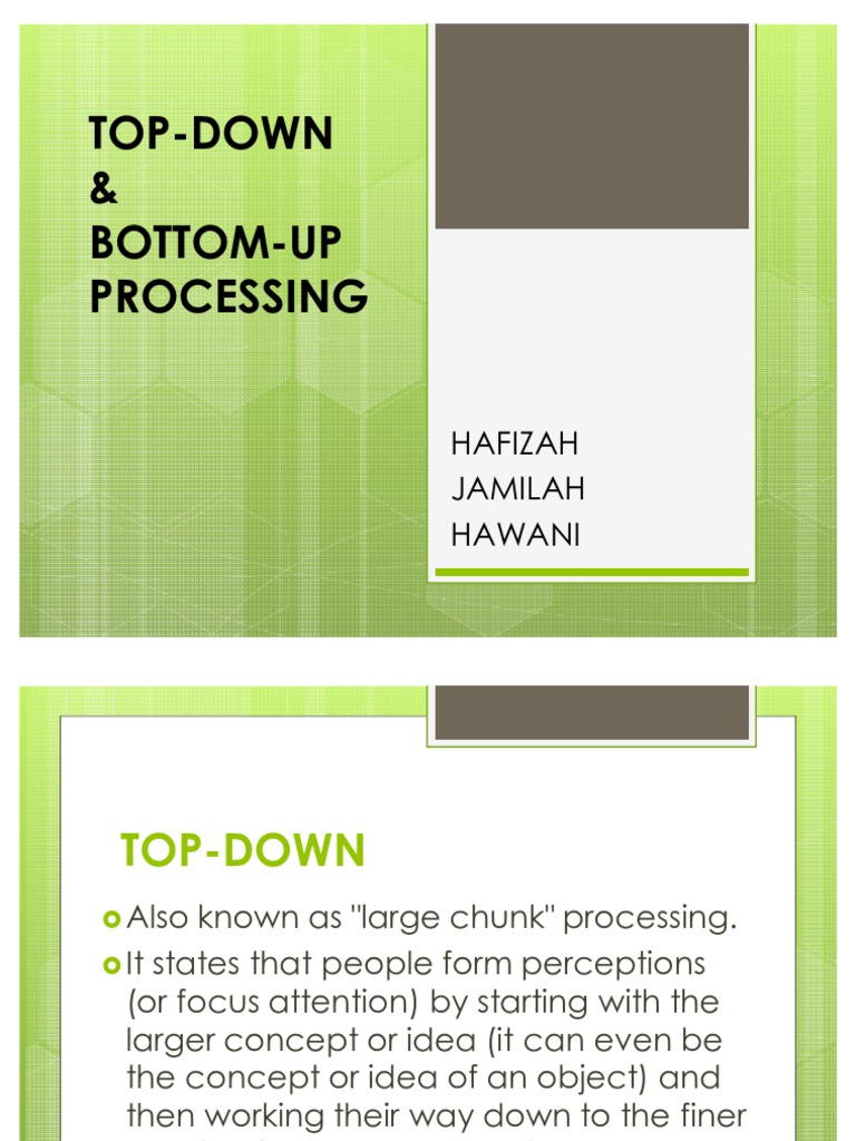 Top-Down vs Bottom-Up Processing | PDF