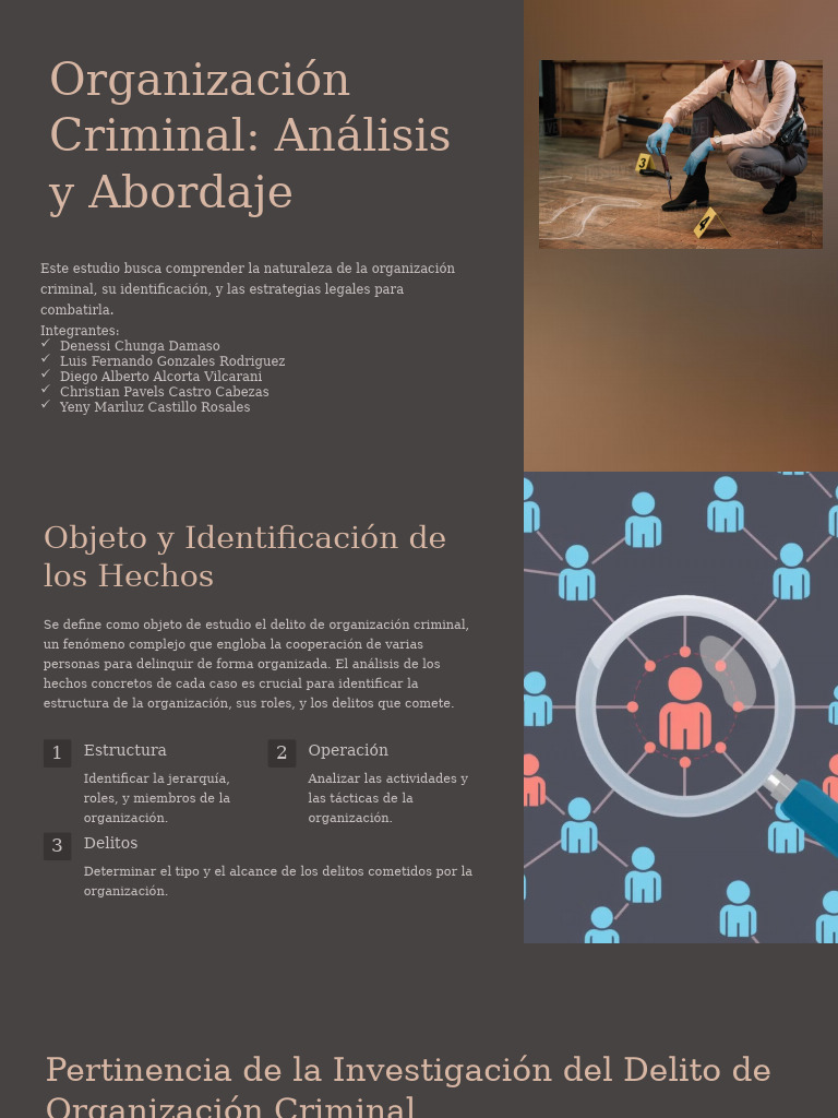 Organizacion Criminal | PDF
