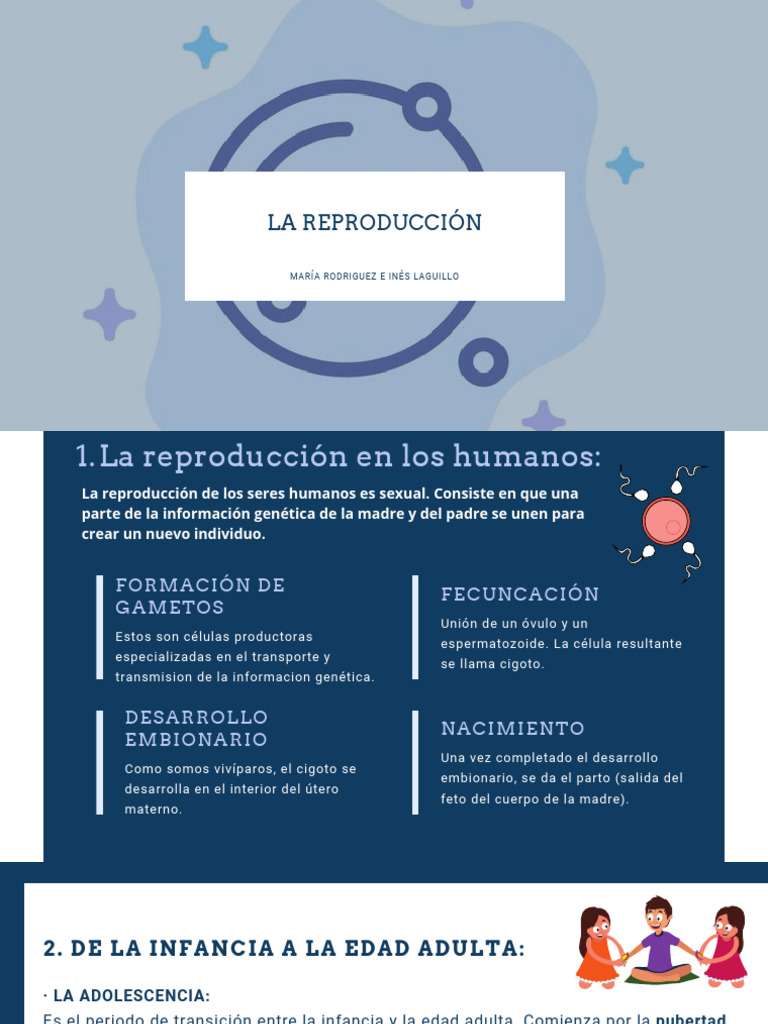 La Reproducción | PDF