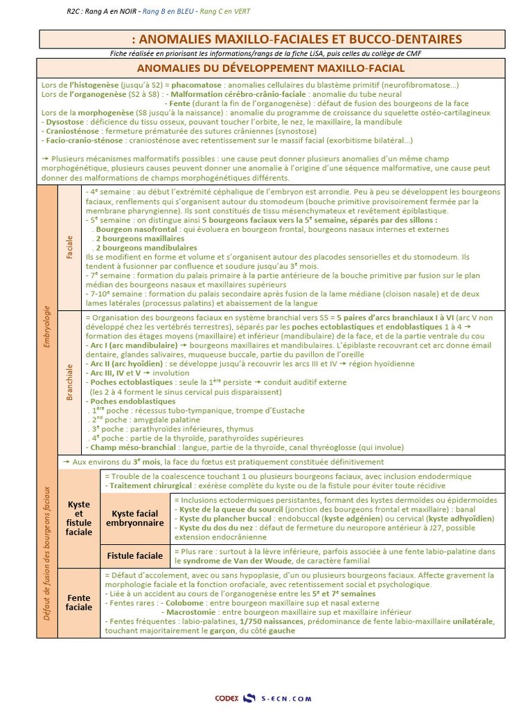 Codex MAJ 04-07-2023 | PDF