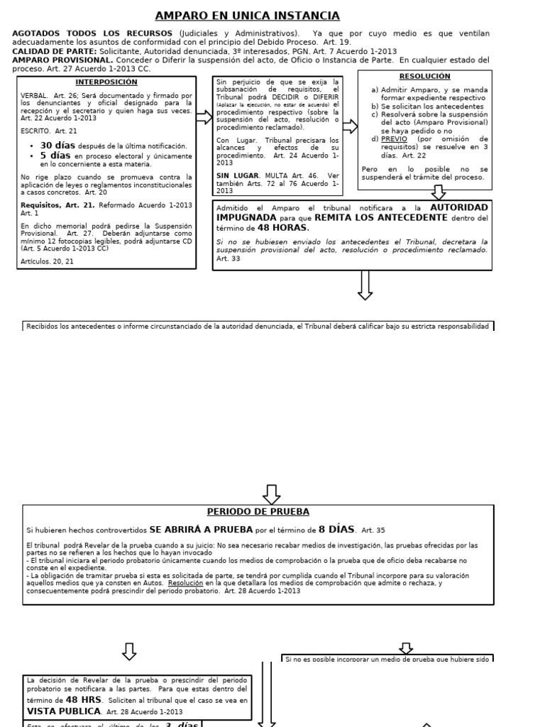Procedimiento de Amparo Judicial | PDF | Debido al proceso | Justicia