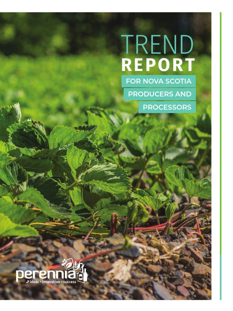 Trend report version web version pdf