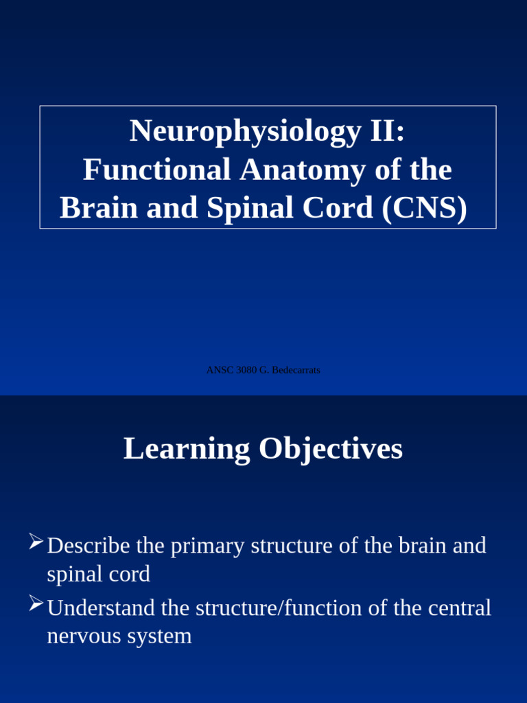 Lecture+3+Neurophysiology II | PDF