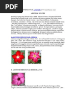 Download adenium by An-Nur Jie SN78001695 doc pdf