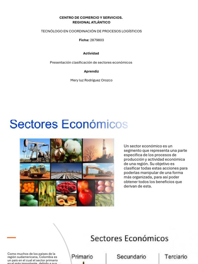 Presentación Clasificación de Sectores Económicos | PDF | Business ...