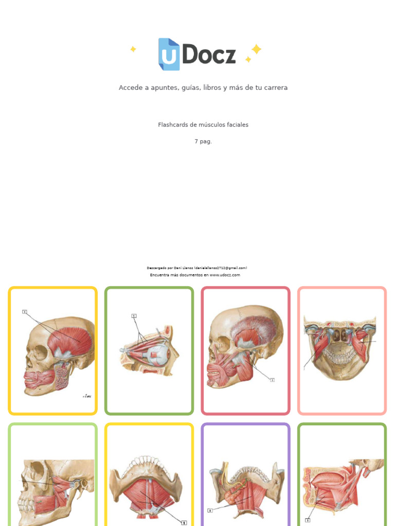 Flashcards de Muscul 303145 Downloadable 5465783 | PDF