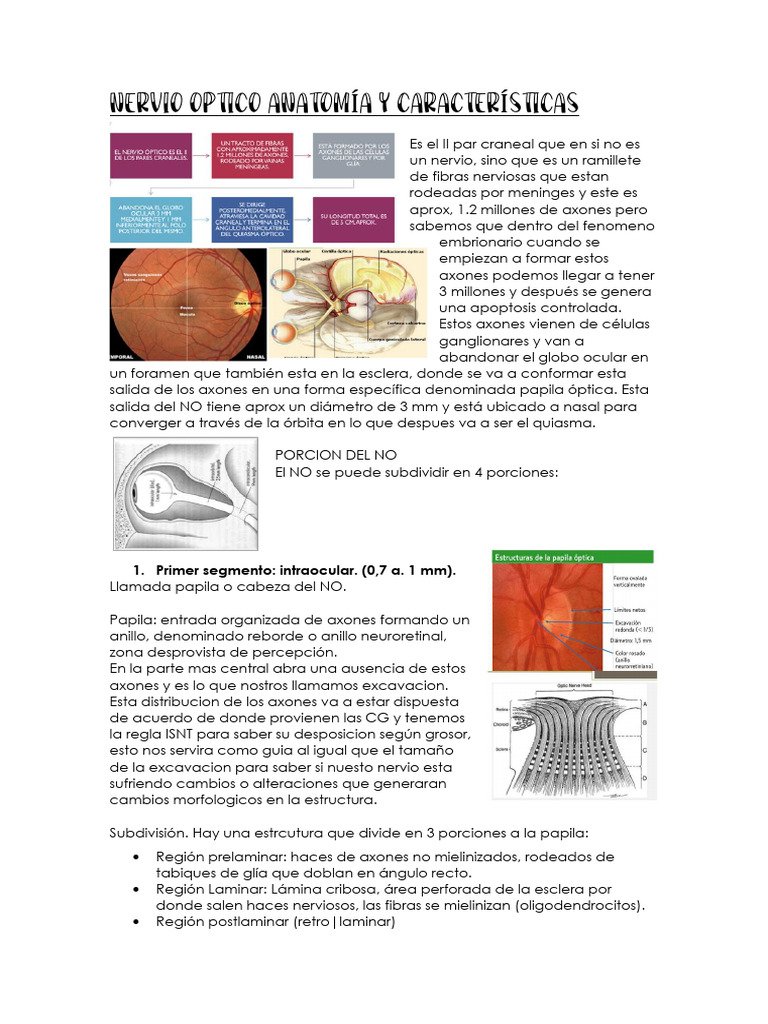 Neurooftalmologia Nervio Optico Caract | PDF