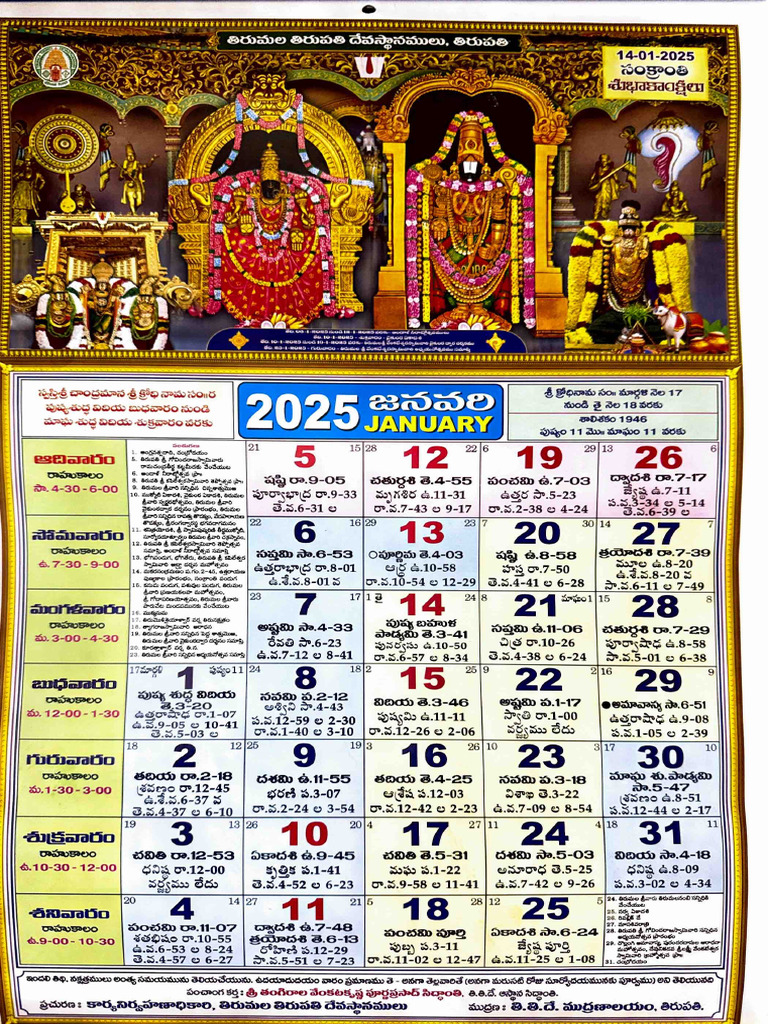2025-ttd-pdf