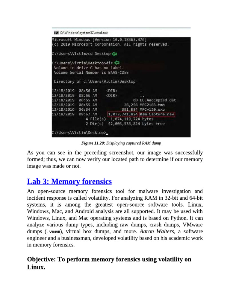 Lab 13 | PDF
