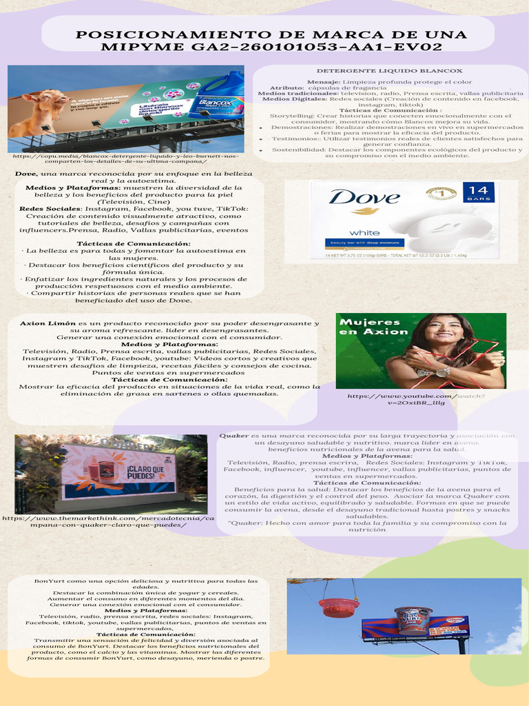 Infografia Posicionamiento de Marca Mipyme | PDF