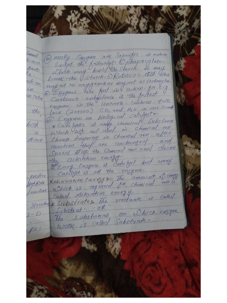 Biology Note | PDF