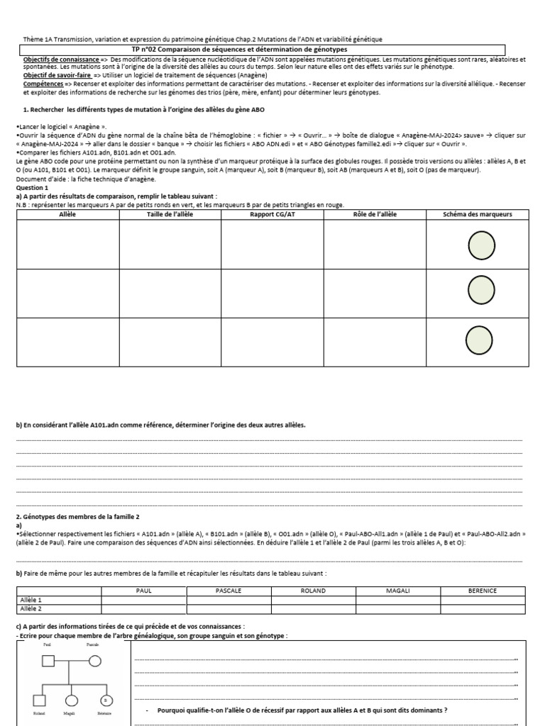 Utilisation d'Anagène pour Mutations ADN | PDF | Genetics ...