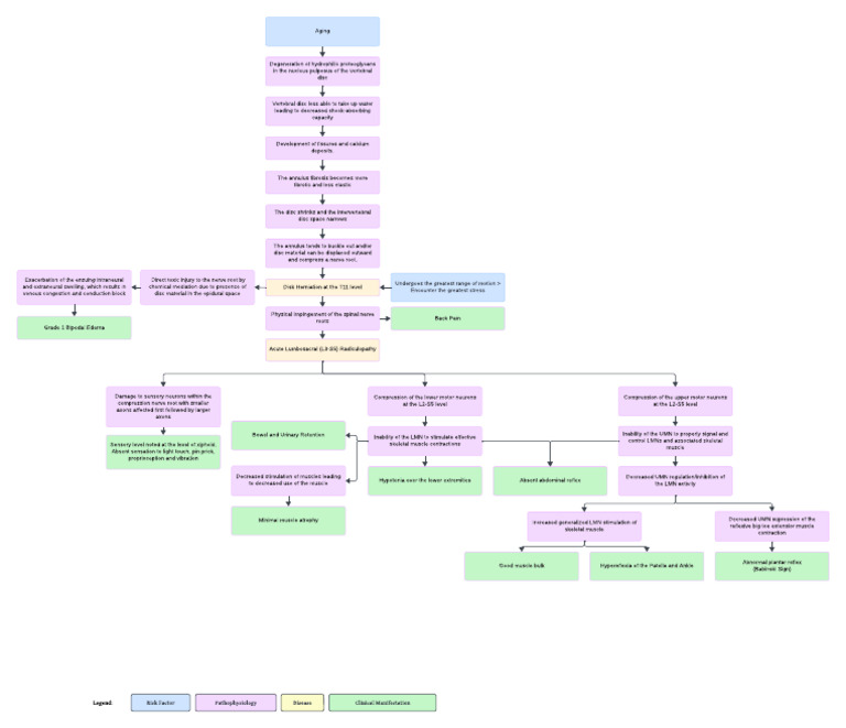 Spinal Cord Compression Pathophysiology | PDF