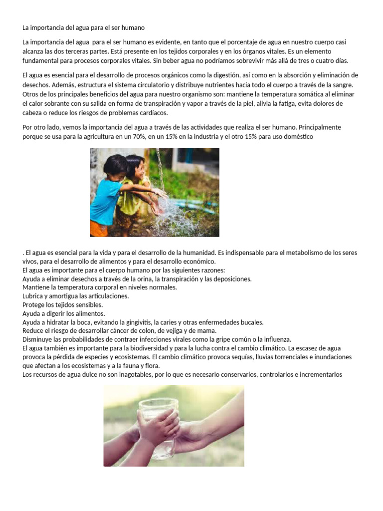 La Importancia Del Agua en El Ser Humano | PDF