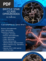 SEA STAR FACTS visual data 5