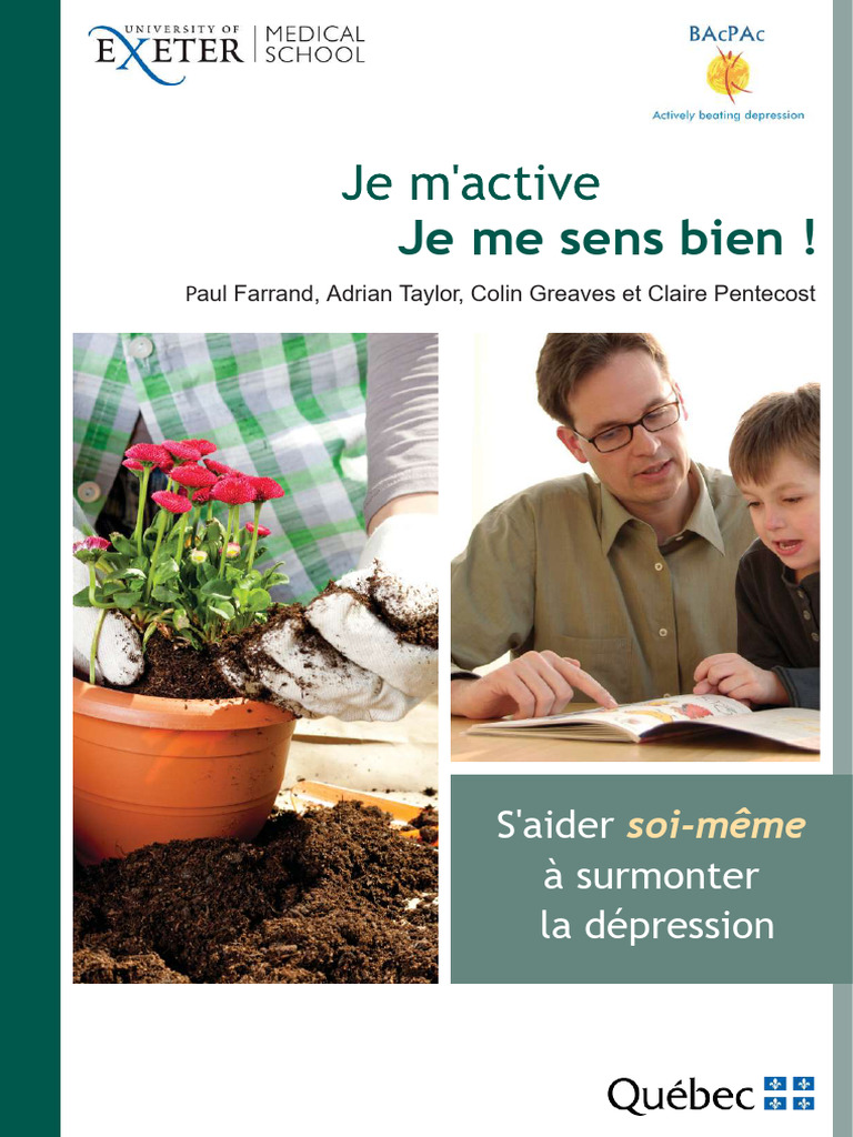 Ba Depression FR Final CR Compressed | PDF