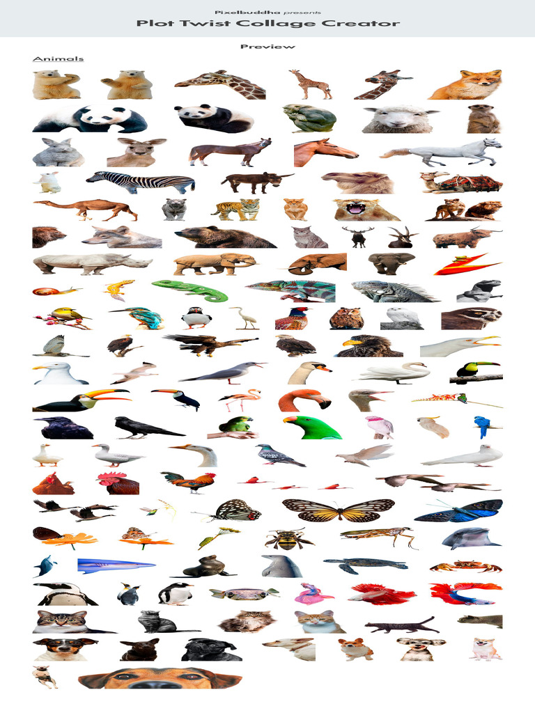 Animals | PDF