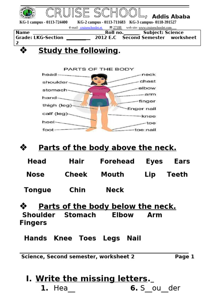 LKG Science PDF