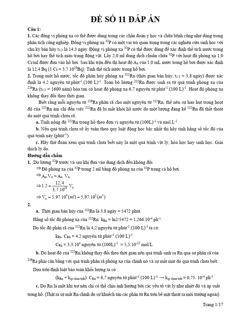 De So 11 Dap An | PDF