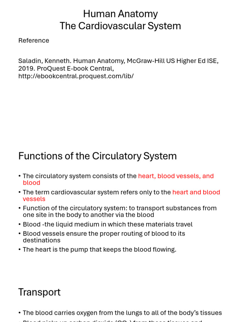 Cardiopulmonary System | PDF