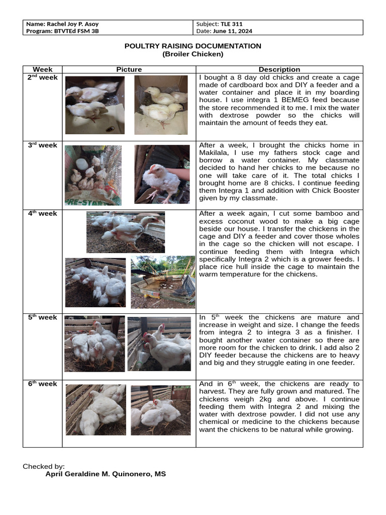 Poultry Raising Documentation | PDF