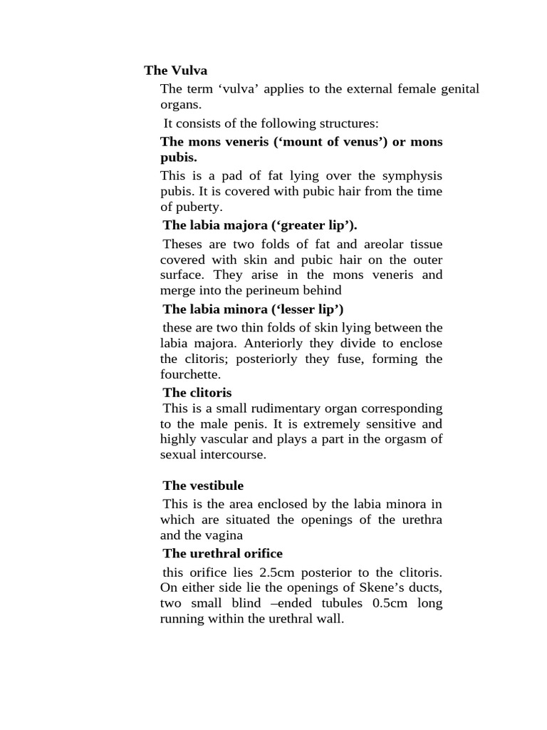 Vagina Uterus And Vulva Note Pdf