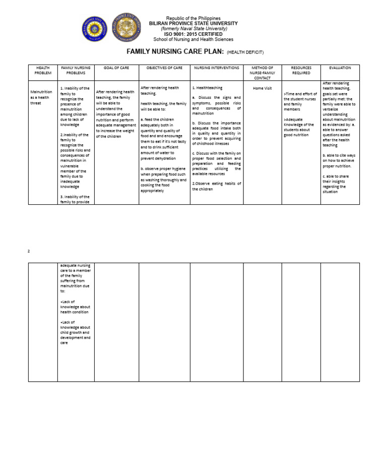 Family Nursing Care Plan | PDF | Malnutrition | Nursing