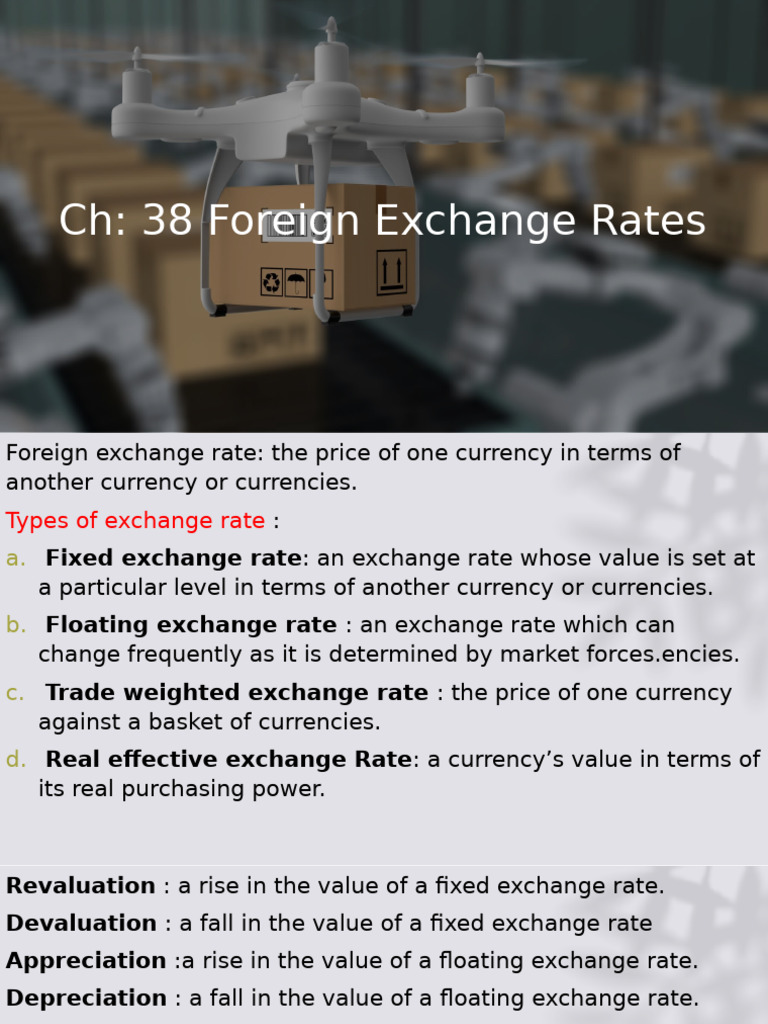 CH 38 Foreign Exchange Rates | PDF