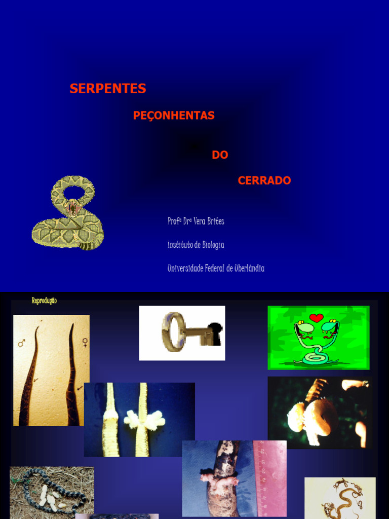 Serpentes Brasileiras | PDF
