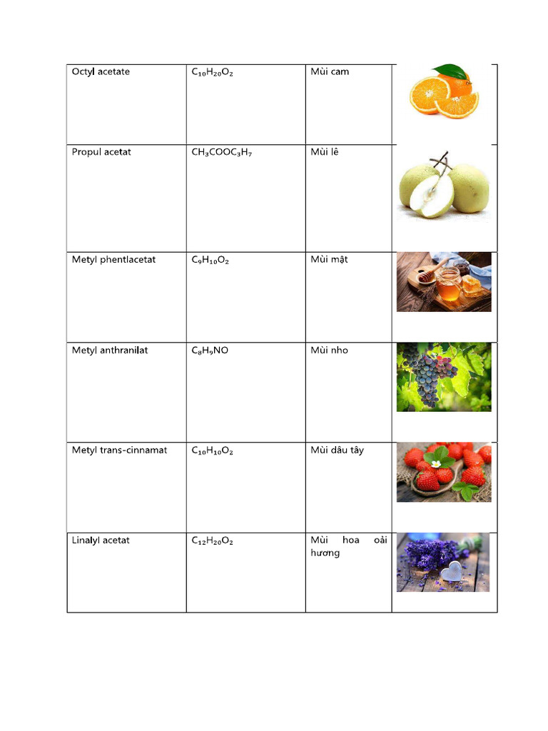 Mùi | PDF