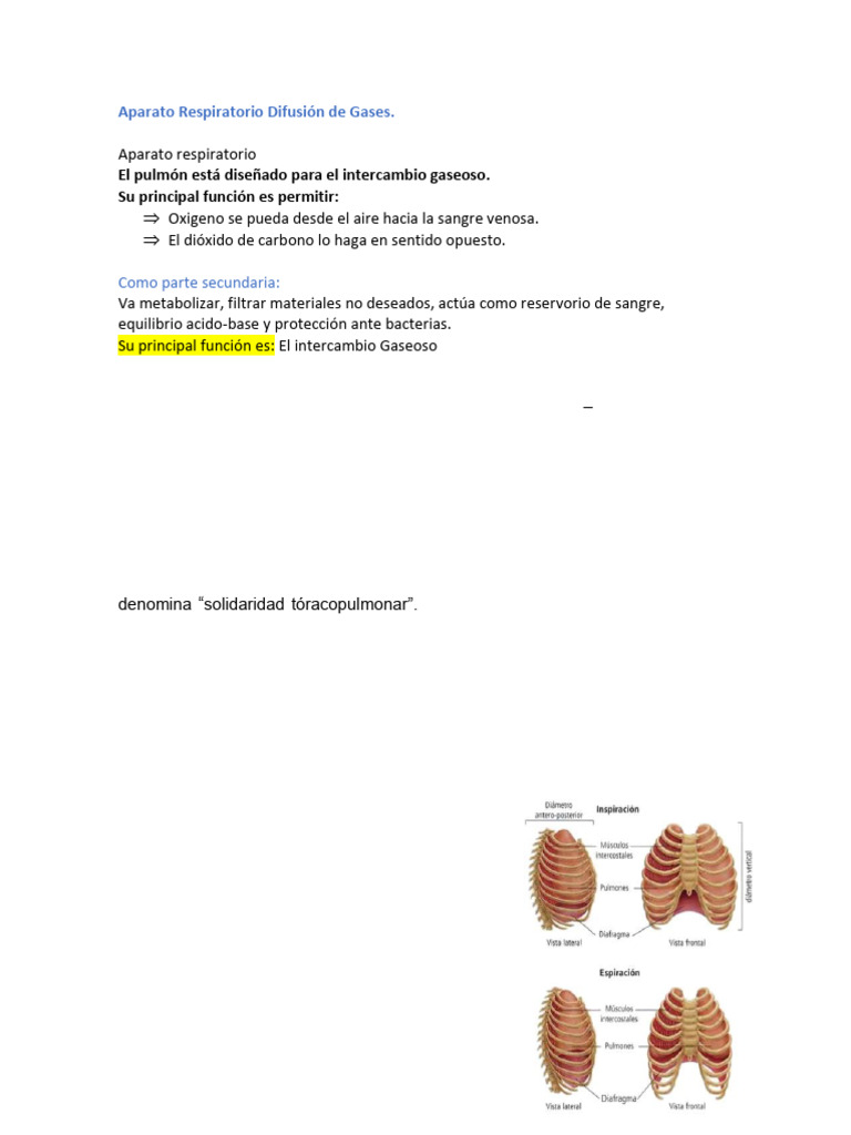 abcdef-pdf